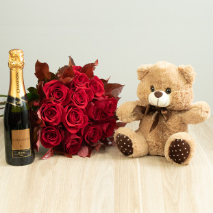 Kit 12 Rosas Importadas Vermelhas com Chandon e Pelúcia