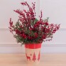 arranjo-natalino-bosque-berries-vermelhas.jpg.jpg