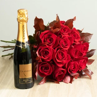 Kit-BRI-Ver-12-Chandon.jpg