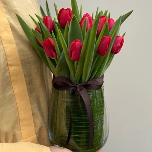 Encanto_Rubro_em_Tulipas.png