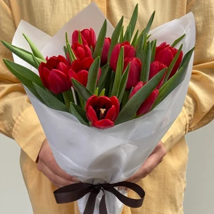 Buque_Tulipas_Carmesim.png