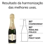 Design_sem_nome_39_.png