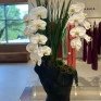 Assinatura_Orquidea_Luxo.jpg